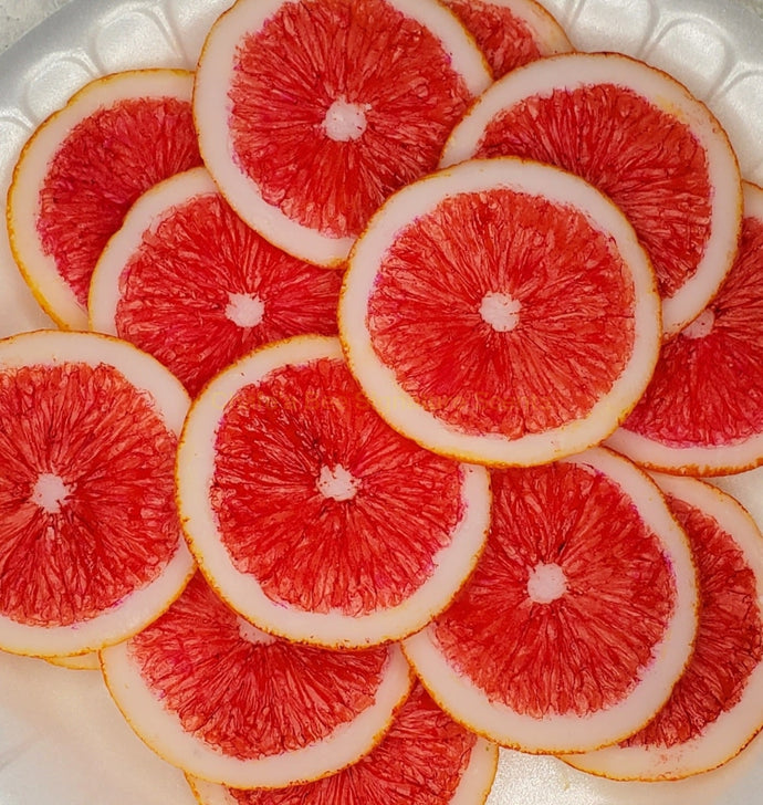 Custom Hand Painted Grapefruit Slices Embeds Embeds
