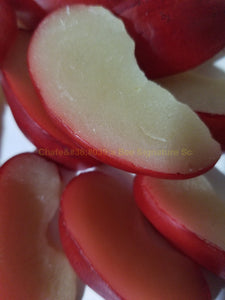 Hand Painted Red Apple Candlewax Embeds